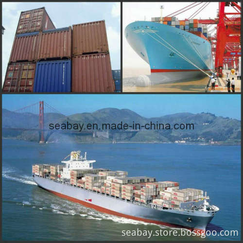 Guangzhou/Shanghai/Ningbo Freight Forwarding Service